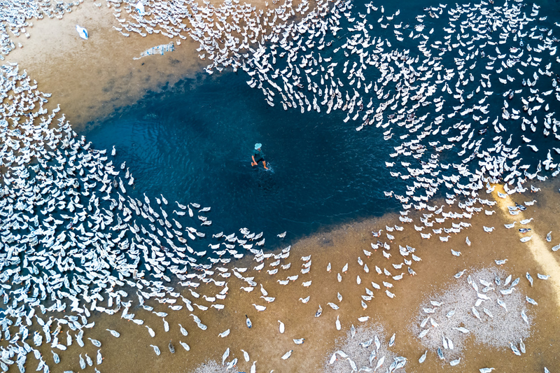 Imagen: Caokynhan / Skypixel